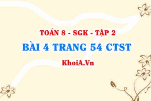 Bài 4 trang 54 Toán 8 Chân trời sáng tạo Tập 2
